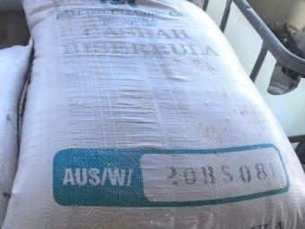 Casbah Biserrula Pasture Seed