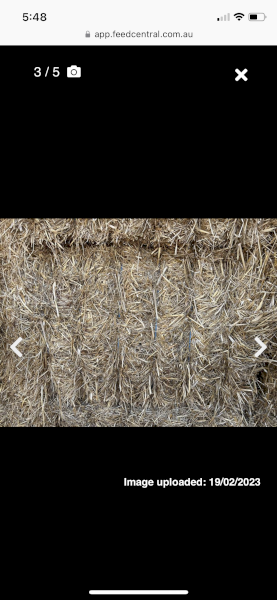 Oaten header trash Straw 8x4x3 Bales
