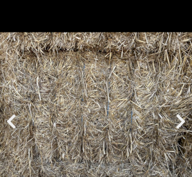 Oaten header trash Straw 8x4x3 Bales