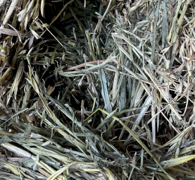 Oaten Hay