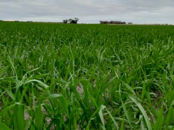 WANTED Lease/Share Farm