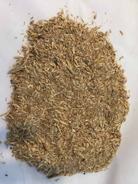Cheap Protein - malt combings 28%pro 90%DM