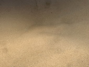 Wheat approx 22 tonnes 