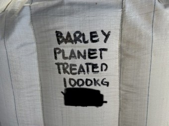 Planet Barley Planting Seed Treated : 4t in bulk bags on pallets ready to go.