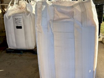 Planet Barley Planting Seed Treated : 4t in bulk bags on pallets ready to go.