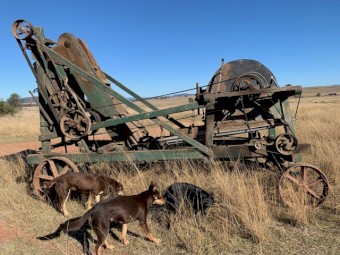 Jas Smith 4 blade double screw bag fill 