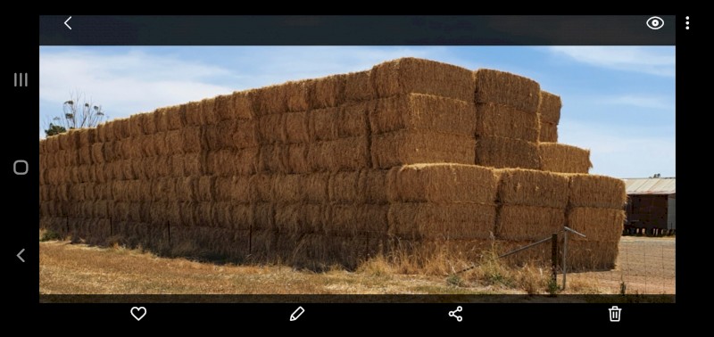 250mt Barley/Rye Hay 8x4x3 Bales