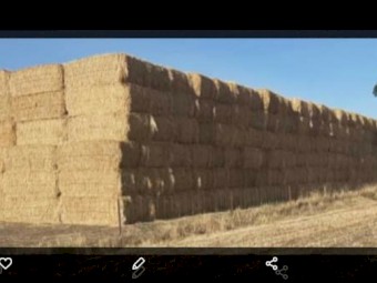 250mt Barley/Rye Hay 8x4x3 Bales