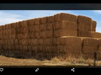 250mt Barley/Rye Hay 8x4x3 Bales