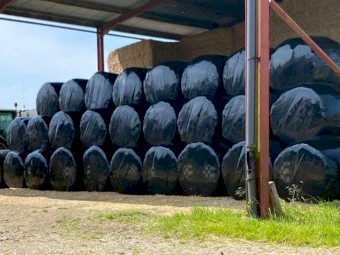 4000 Bales Hay (wrapped) 4ft