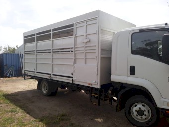 2009 Isuzu FRR 600 Cattle/Horse Truck