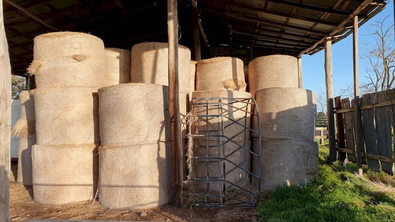 Rye & Clover 5x4 Round Bales; Shedded - CLEARANCE SALE