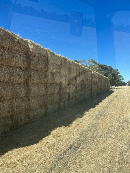 300mt Barley and Wheaten Straw 8x4x3 Bales