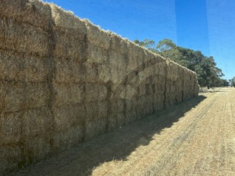 300mt Barley and Wheaten Straw 8x4x3 Bales