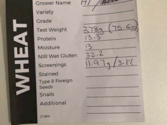 Wheat Certfied Bio Dyn in Conversion 100t
