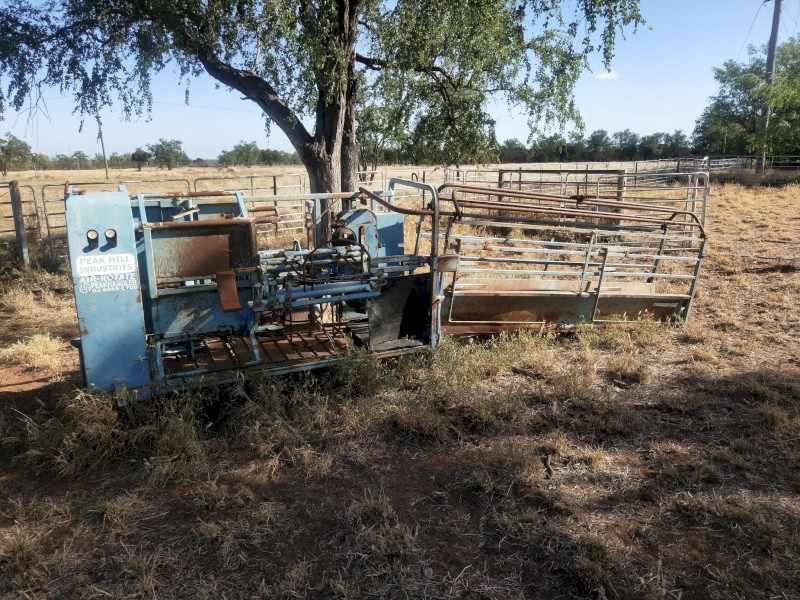 Peak Hill Industries Sheep Handler