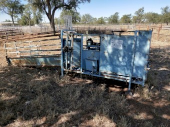 Peak Hill Industries Sheep Handler