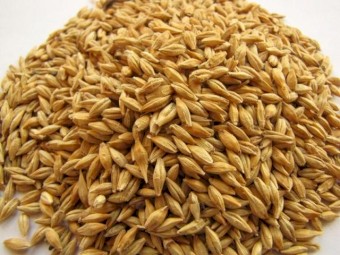 Looking to buy Feed Barley