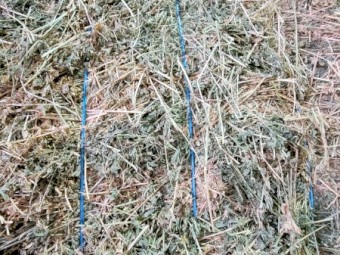 41mt Lucerne Hay 8x4x3 Bales