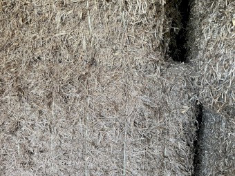 2020 Morava Vetch Hay