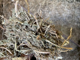 2020 Morava Vetch Hay