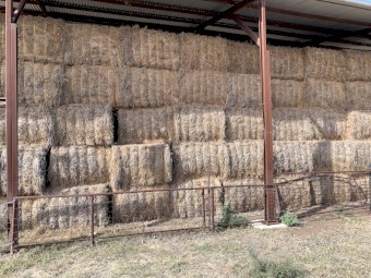 Lucerne Hay 1st cut Feb 2022