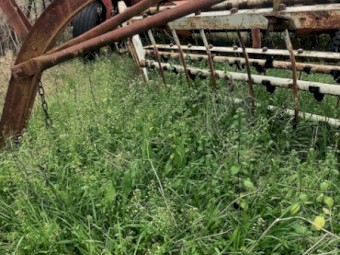 Old IH A21-3 rollarbar rake