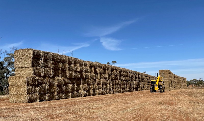 600mt Oaten Hay 580kg 8x4x3 Bales - Top Bales Free