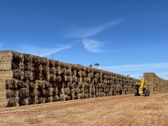 600mt Oaten Hay 580kg 8x4x3 Bales - Top Bales Free