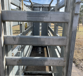 Cattle crush HD galv with vet access plus arrow head holder parallel squeeze  FREE delivery SEQld /NNSW