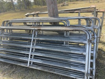 Sheep yard package with panels/ gate in panels / sheep V handler 200 head 