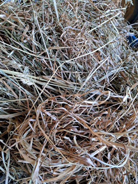 Small Squares Grass Hay