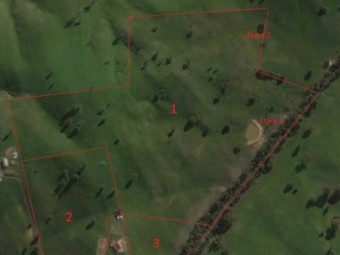 Agistment available Central VIC