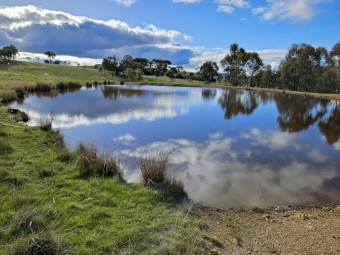 Agistment available Central VIC