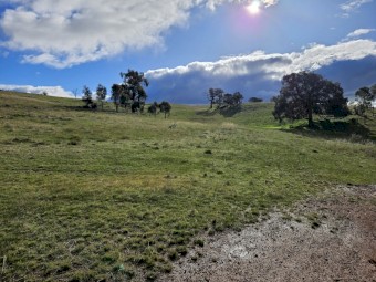 Agistment available Central VIC