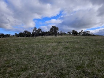 Agistment available Central VIC