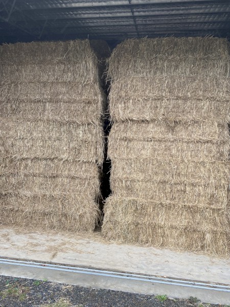 Leafy digit grass hay