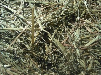 Oaten Silage Bales, feed tested