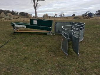 Sheep Handler V race Hydraulic - plus 180 degree curved lead up race