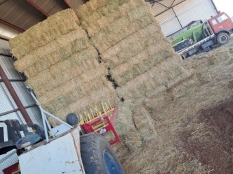Wheaten small square bales 