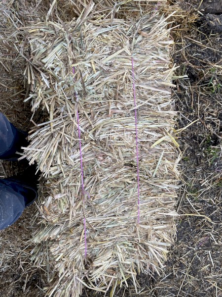 Oaten hay small squares