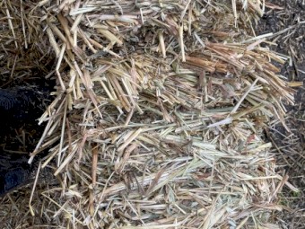 Oaten hay small squares