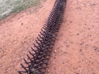 Phillips rotary harrows