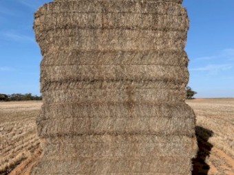 100m/t of 20/21 Season Vetch Hay