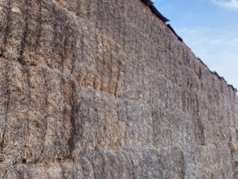 100m/t of 20/21 Season Vetch Hay