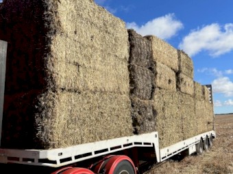 320mt Oaten Hay 715kg 8x4x3 Bales