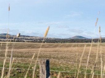 Prime Farmland in the Central Highlands