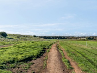 Prime Farmland in the Central Highlands