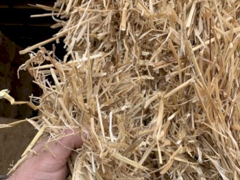 120mt Barley Straw 460-500kg 8x4x3 Bales (22/23 Season)