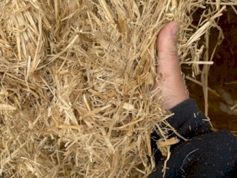 120mt Barley Straw 460-500kg 8x4x3 Bales (22/23 Season)